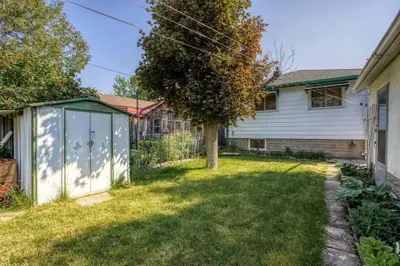 a yard with a shed and a house at New 2 bedroom basement apartment in Guelph