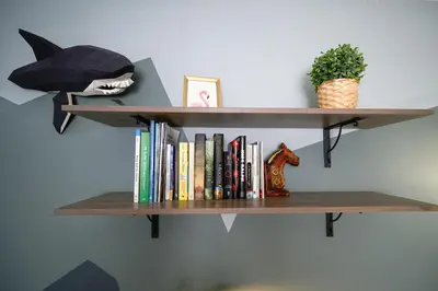 a book shelf with books and a shark on it at Spacious Room with Ensuite Bathroom near Subway, Koreatown & UofT in Toronto