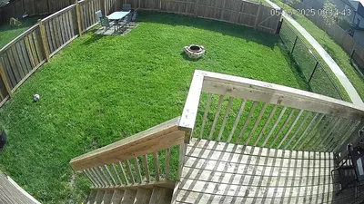 an aerial view of a yard with a fence and grass at 4BR 2 king 3 Queen 6 beds in total 3 GBPS Wi-Fi in Kitchener