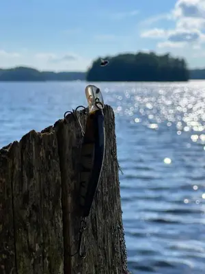 a shoe sitting on a post by the water at Birkswyld waterfront cottage Mary Lake in Huntsville