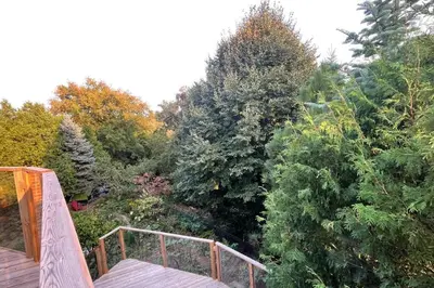 a view of a forest of trees from a deck at Serene Don River Nature gateway- 2BR suite, Private Patio, Free Parking in Toronto