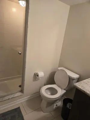 a bathroom with a toilet and a shower at Mimis lodge in Brampton