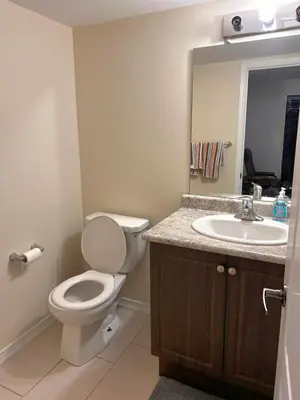 a bathroom with a toilet and a sink at Mimis lodge in Brampton