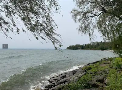 a view of a body of water with a tree at Rare 3 Bedroom Luxury Close to Lake in Oakville