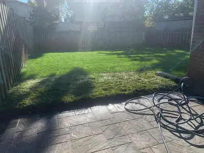 a yard with a fence and a hose at Full Privacy Entire basement,kitchen,1parking in Oshawa