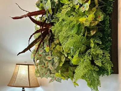 a plant hanging on a wall next to a lamp at Cityview in the Sky 2Bdrms 2Baths 5realbeds in Toronto