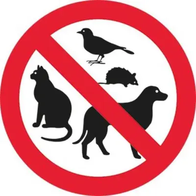 a red prohibitory sign with a cat and a bird at Three bedroom house in Mississauga