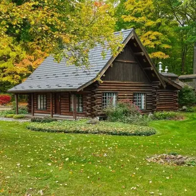 Forest Hideaway