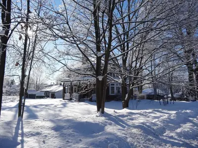 a snow covered yard with trees and a house at The Captain's House heritage bed & breakfast in Midland