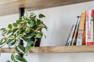 a plant sitting on a shelf with books at Amazing View 2BR St Lawrence Market Condo, Downtown Toronto in Toronto