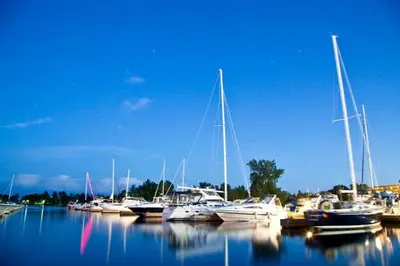 a bunch of boats are docked in a harbor at River Runs Through It in Belleville