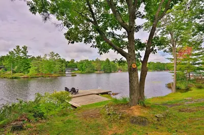 two dogs sitting on a dock on a lake at Muskoka Retreat, Fire Pit, Games, Waterfront in Gravenhurst