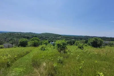 a field of grass with trees in the distance at Summer Getaway with Pool and Nearby Attractions in Cobourg