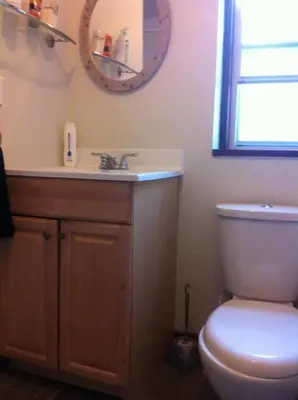 a bathroom with a toilet and a sink and a mirror at Lovely home in Leslieville in Toronto