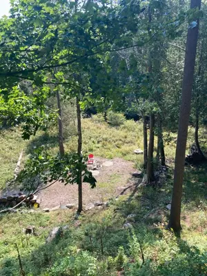 a group of trees in a field with a red box at Treetop Suite in Haliburton