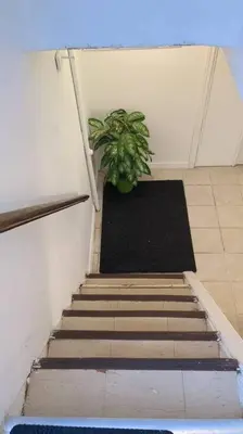 a stairway with a potted plant in a room at Whole House Fair Price Great Amenities in Richmond Hill