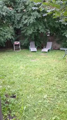 two chairs sitting in the grass in a yard at Multiple Fair Price Great Amenities Rooms in Richmond Hill