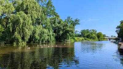 a river with a bunch of ducks in the water at Niagara Creekside B&B - Waterfront suite in Niagara Falls