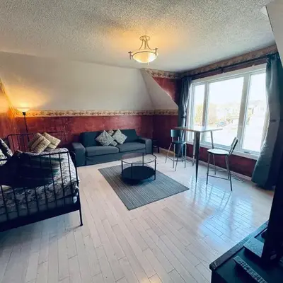 Sunnys Home Stays TorontoMississauga Pvt Entrance 2B'Rm Bath Living & Kitchen