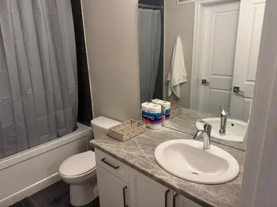 a bathroom with a sink and a toilet and a shower at A Compact family home in Milton in Milton