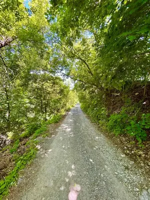 a dirt road with trees on both sides at The Vue - Nestled by Roblin's Lake with a Hot Tub in Mountain View
