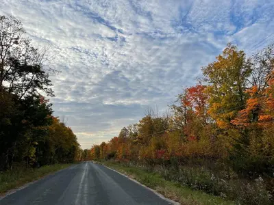 an empty road in the fall with a cloudy sky at McCracken's Mid Century Modern Luxury Cottage in Burleigh Falls