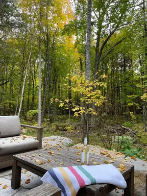 a patio with a table and a couch and trees at McCracken's Mid Century Modern Luxury Cottage in Burleigh Falls