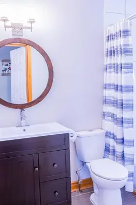 a bathroom with a toilet and a sink and a mirror at Relax at The Mountaintop Chalet in Blue Mountains