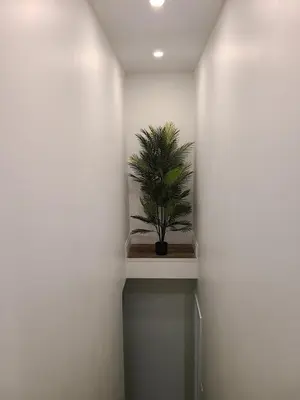 a potted plant sitting on a shelf in a hallway at The Hidden Pearl in Haliburton