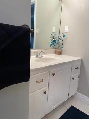 a bathroom with a white sink and a mirror at Cheerful 4 bedroom with sunroom in Belleville