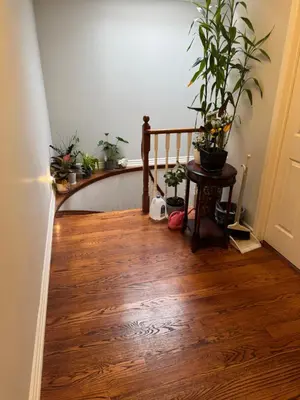a hallway with a bunch of potted plants on the stairs at 201 Large Private Bedroom on second floor in Mississauga