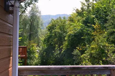 a view of a forest from the porch of a house at The Blue Mountains Chalet for 20- 8BR Bliss w Hot Tub in Blue Mountains