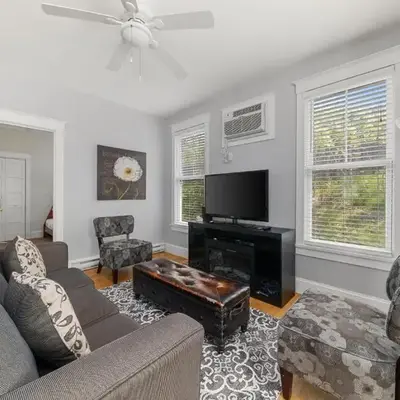 The Cattail - 26 Meadowview
