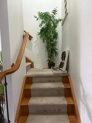 a staircase with a potted plant on it at Dream Homes in Thorold