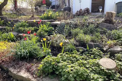 a garden with flowers and plants in front of a house at The Artists' House Getaway in Collingwood