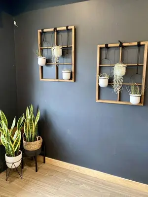 two shelves with potted plants on a blue wall at Stylish Modern 2 bedroom house across from Beach in Hamilton