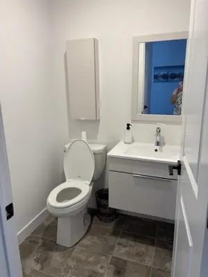 a white bathroom with a toilet and a sink at 3 Bdrm Blue Mountain Condo in Collingwood