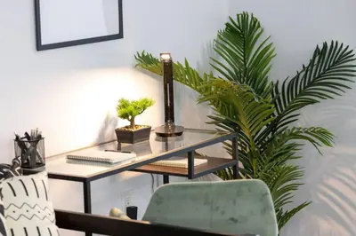 a desk with a chair and a plant in a room at Exquisitely Furnished 1BR Suite in DWTN Toronto in Toronto