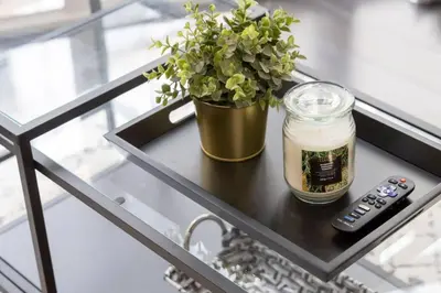 a table with a plant and a jar and a remote control at Exquisitely Furnished 1BR Suite in DWTN Toronto in Toronto