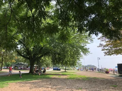 a group of people sitting under a tree in a park at Toronto downtown Woodbine beaches private cozy room in Toronto
