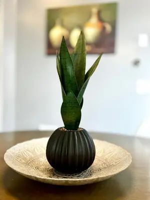 a black vase with a plant in it on a plate at 3500 SqFt - Modern and Comfort - 4 BDRM Getaway - Relax - Unwind - Explore - Near Airport & Toronto Downtown in Brampton