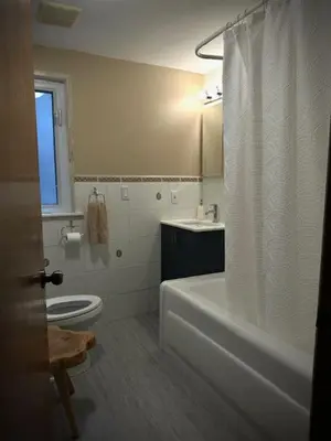 a bathroom with a toilet and a shower curtain at Girls Night Out in Toronto
