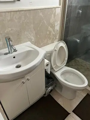 a bathroom with a white toilet and a sink at Two Separate Units in Richmond Hill