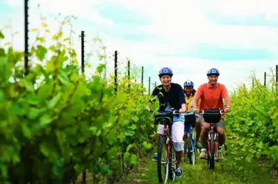a group of people riding bikes through a vineyard at Boutique Quality in Old Towne with Hot Tub in Niagara on the Lake