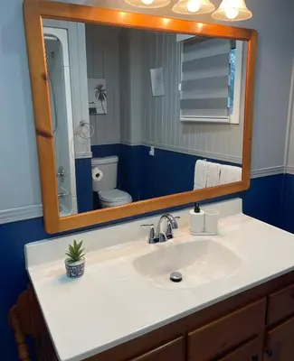 a bathroom with a sink and a mirror at Cottage on Muskoka river in Bracebridge