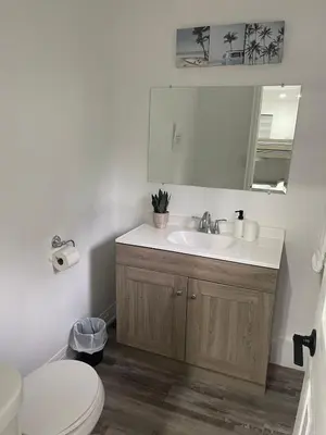 a bathroom with a sink and a toilet and a mirror at Cottage on Muskoka river in Bracebridge