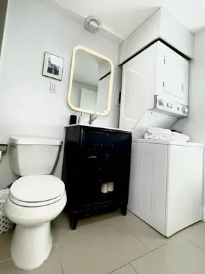 a bathroom with a toilet and a sink and a mirror at Excellent Private Suite in Bloor West Village in Toronto