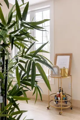 a plant in a room next to a table with a plant at The California Sunset in St. Catharines