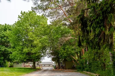 a tree lined driveway with a building in the background at Westlake Cottage - Milford Lodge in Wellington