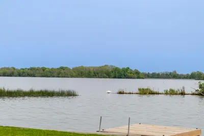 a bird is sitting on a dock on a lake at Westlake Cottage - Milford Lodge in Wellington